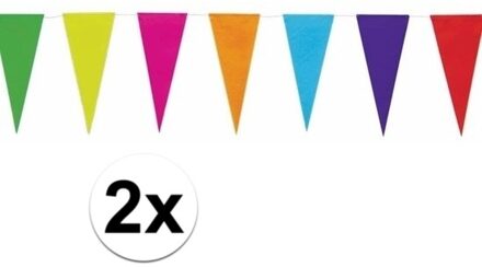 Regenboog vlaggenlijnen 10 meter Multi