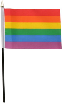 Regenboog vlaggetje - 15 x 10 cm - polyester - op stokje - 27 cm