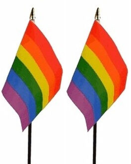 Regenboog vlaggetje - 2x - 15 x 10 cm - polyester - op stokje - 27 cm
