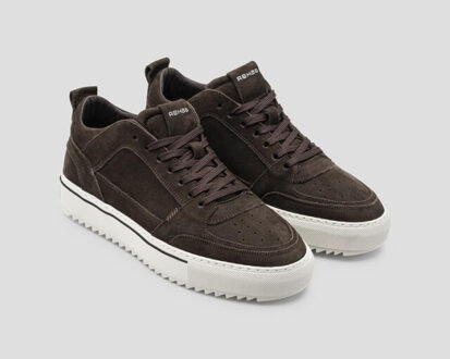 Rehab 2542.675203 Bruin - 44