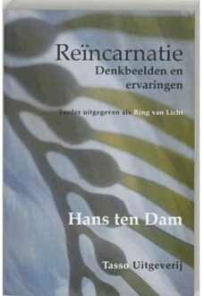 Reincarnatie - Boek H.W. ten Dam (9075568134)