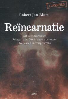 Reïncarnatie - Boek Robert Jan Blom (9463381791)