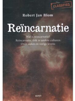 Reïncarnatie - Boek Robert Jan Blom (9463381791)