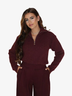 Reinders Dames trui pia sequins Bordeaux - 36