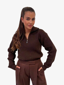 Reinders Dames trui pia sequins Bruin - M