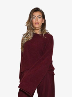 Reinders Dames trui winnie wool Bordeaux - One size