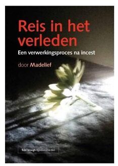 Reis in het verleden - Boek Madelief (907876144X)