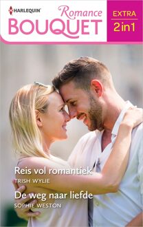 Reis vol romantiek / De weg naar liefde - Trish Wylie, Sophie Weston - ebook