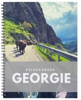 Reisdagboek Georgie - Anika Redhed
