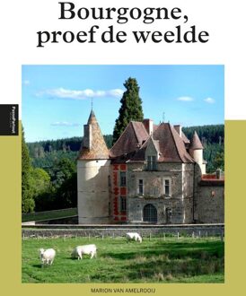 Reisgids PassePartout Bourgogne | Edicola