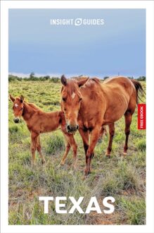 Reisgids Texas | Insight Guides