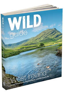 Reisgids Wild Guide West Ireland | Wild Things Publishing