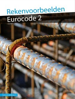 Rekenvoorbeelden Eurocode 2 - R. Braam - ebook