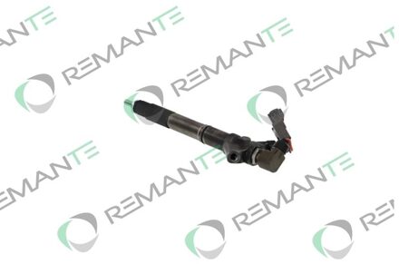 Reman Inj Cr Denso 295900-0110 002003001324R