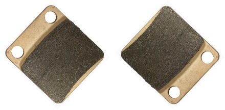 Remblokken Set Voor Pgo Atv 50 Bugrider Buggie 2006 / BR150 Br 150 E Bugrider 2004 2005 2006 2007 Sintered achterkant Pads