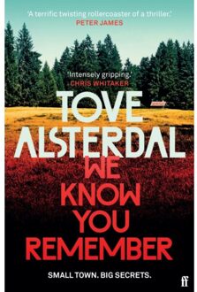 Remember We Know You Remember - High Coast Series - Tove Alsterdal