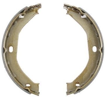 Remschoenset, parkeerrem