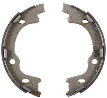 Remschoenset, parkeerrem