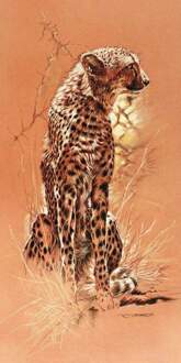 Renato Casaro - Cheetah Kunstdruk 50x100cm