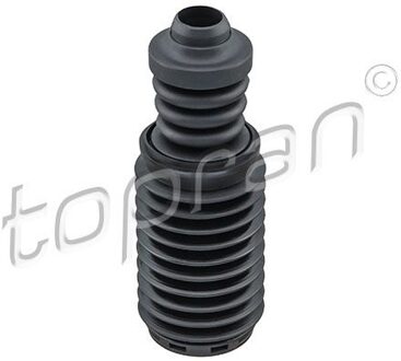 Renault Aanslagrubber, vering 700884