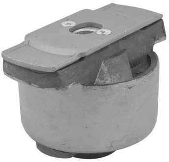 Renault Achteraslager 00584274