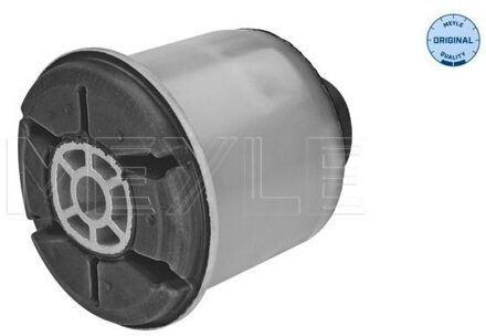 Renault Achteraslager 16147100003