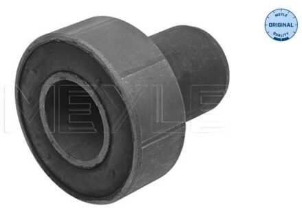 Renault Achteraslager 16147100004