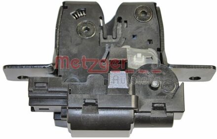 Renault Achterklepslot 2310543