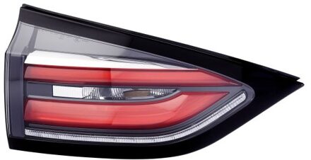 Renault Achterlicht 2TZ011662031