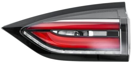 Renault Achterlicht 2TZ011662041