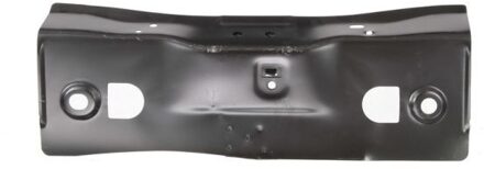 Renault Achterwand 6503056033651P