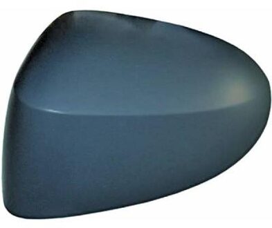 Renault Afdekking, buitenspiegel 4405428