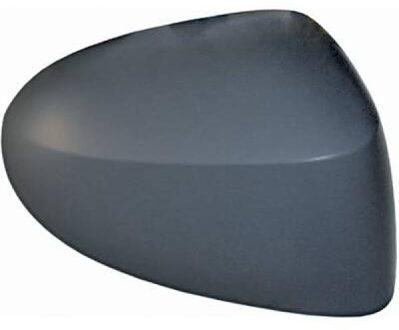 Renault Afdekking, buitenspiegel 4405429
