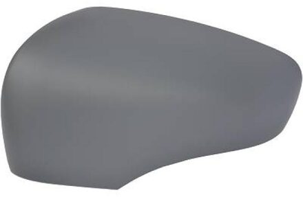 Renault Afdekking, buitenspiegel 4416227
