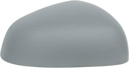 Renault Afdekking, buitenspiegel 4483128