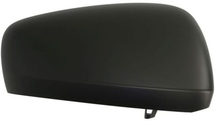 Renault Afdekking, buitenspiegel 6103091241311P