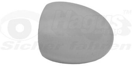 Renault Afdekking, buitenspiegel