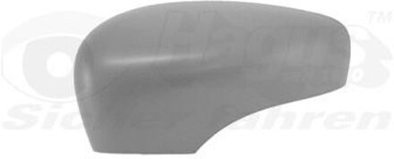 Renault Afdekking, buitenspiegel