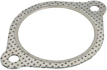 Renault Afdichtring uitlaatpijp