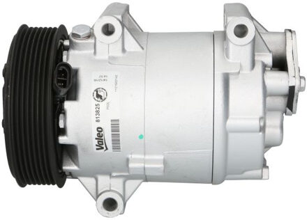 Renault Airco compressor 813825