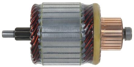 Renault Anker, starter SA2019