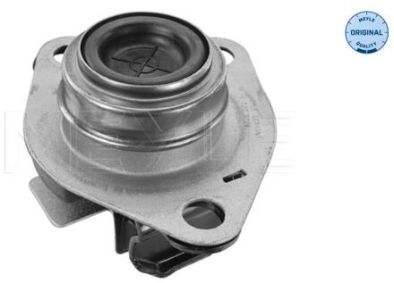 Renault Aslichaam-/motorsteunlager 16140300029