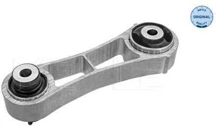 Renault Aslichaam-/motorsteunlager 16140300032