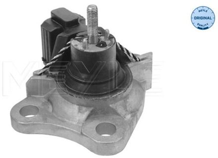 Renault Aslichaam-/motorsteunlager 16140300035