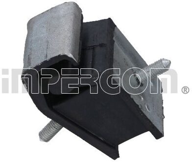 Renault Aslichaam-/motorsteunlager 30318