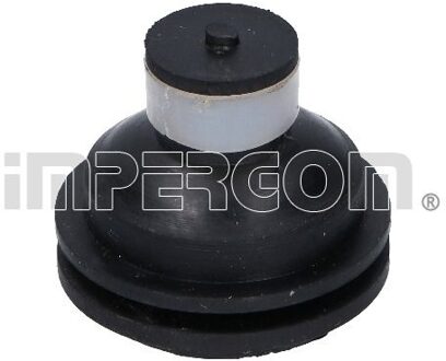 Renault Aslichaam-/motorsteunlager 31651