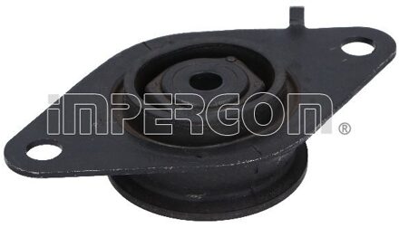 Renault Aslichaam-/motorsteunlager 36618