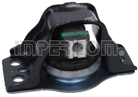 Renault Aslichaam-/motorsteunlager 36666