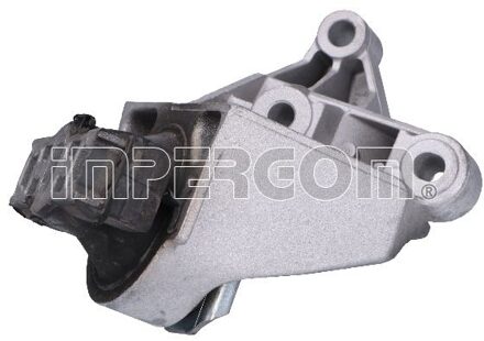 Renault Aslichaam-/motorsteunlager 36699