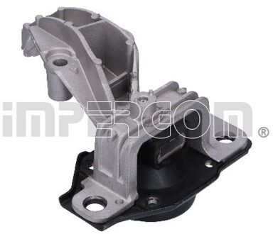 Renault Aslichaam-/motorsteunlager 36804